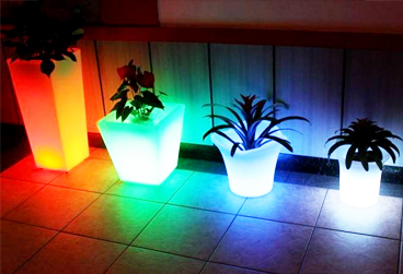 塑料托盤(pán)定制 塑料托盤(pán)定制