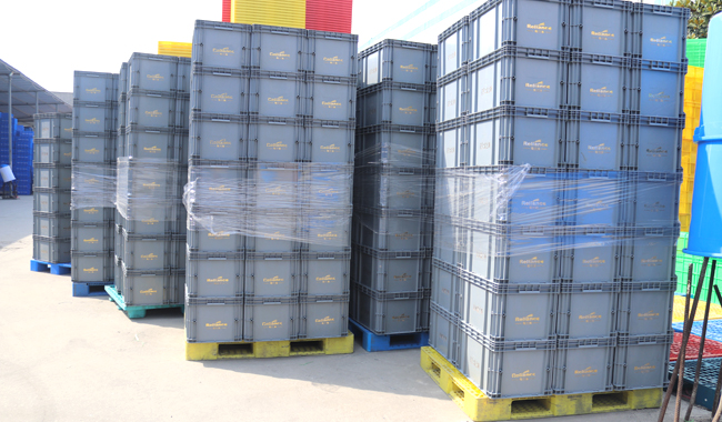 環(huán)保塑料托盤 環(huán)保塑料托盤