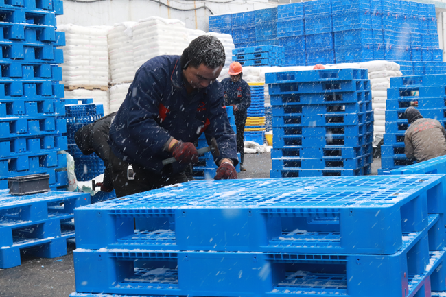 打鐵必須自身硬，質(zhì)量好的塑料托盤有什么要求？