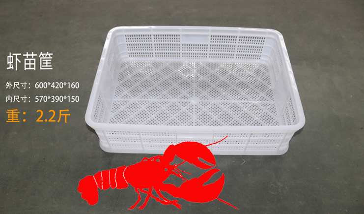 益樂上新啦！蝦苗存活率低？蝦苗筐聽完想打人