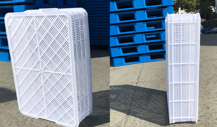 蝦苗存活率低？蝦苗筐聽完想打人