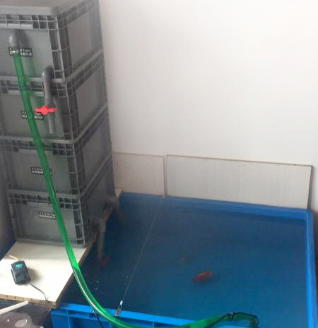周轉(zhuǎn)箱養(yǎng)魚靠譜嗎？怕漏水看這里