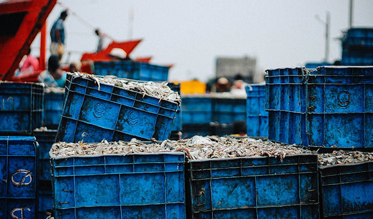 藍(lán)色塑料周轉(zhuǎn)箱哪里買？買個(gè)好周轉(zhuǎn)箱也太難了